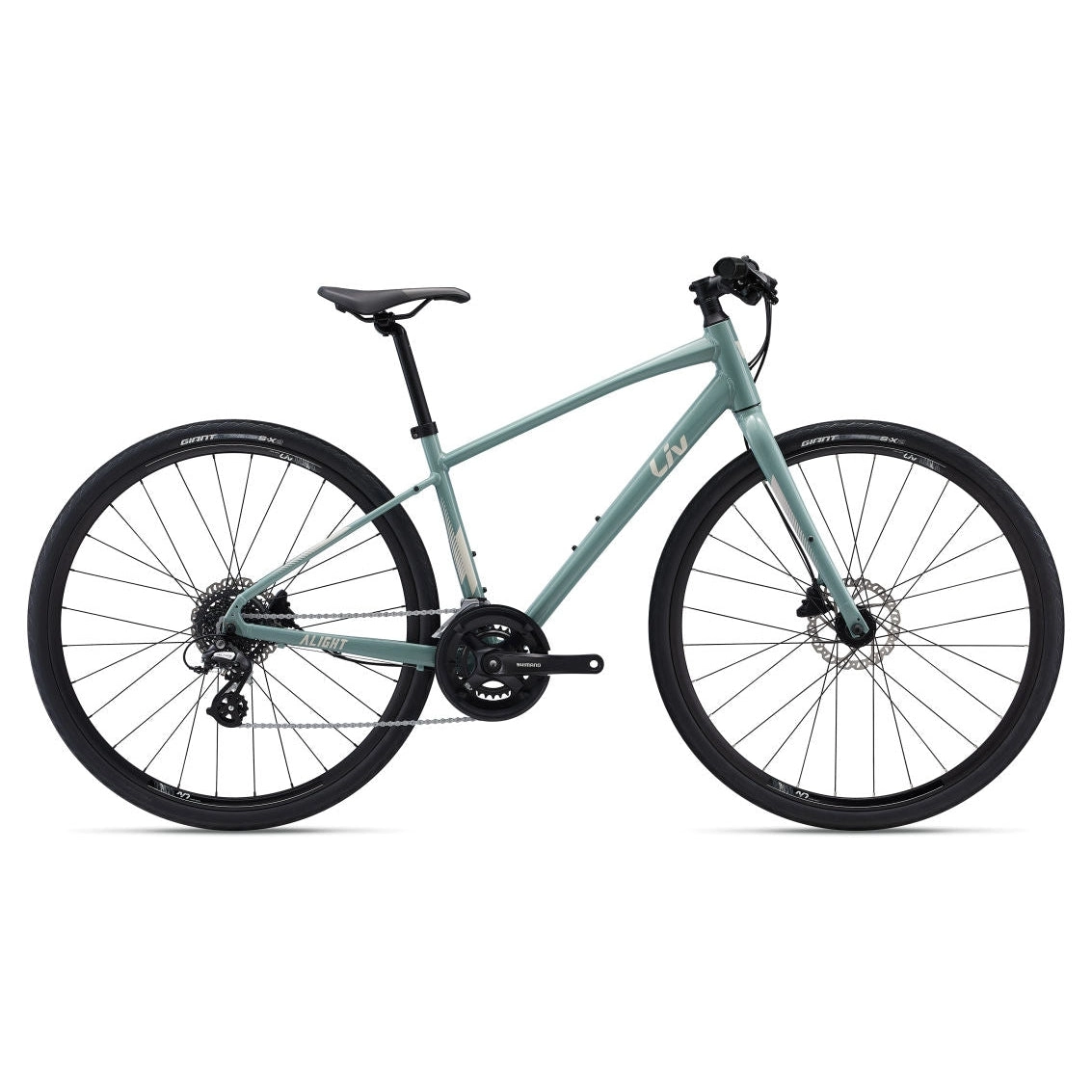 Alight 2 DD Disc Hybrid Bike (2022)