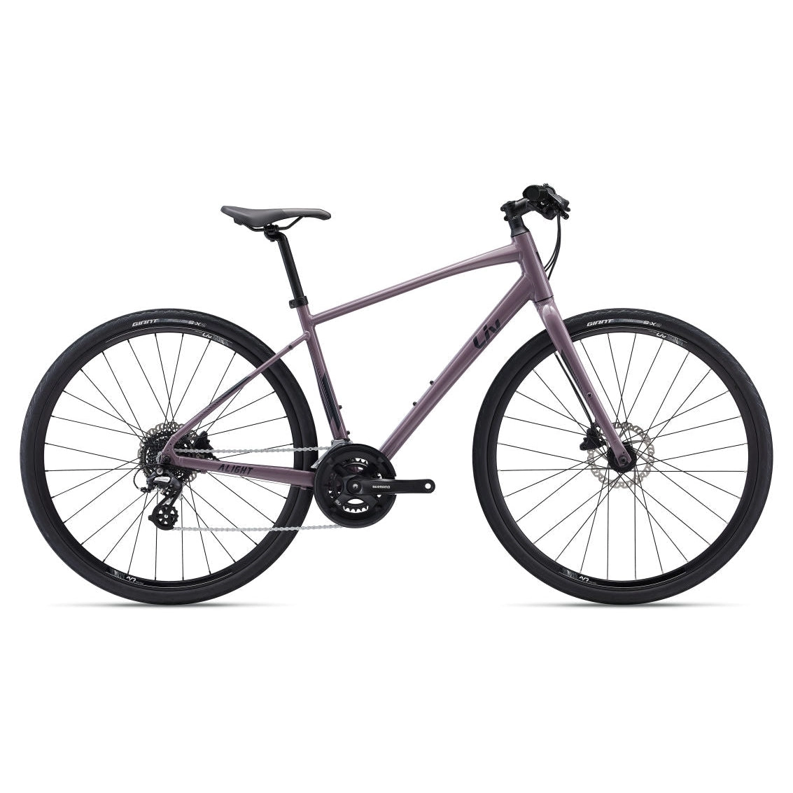 Alight 2 DD Disc Hybrid Bike (2022)