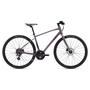 Alight 2 DD Disc Hybrid Bike (2022)