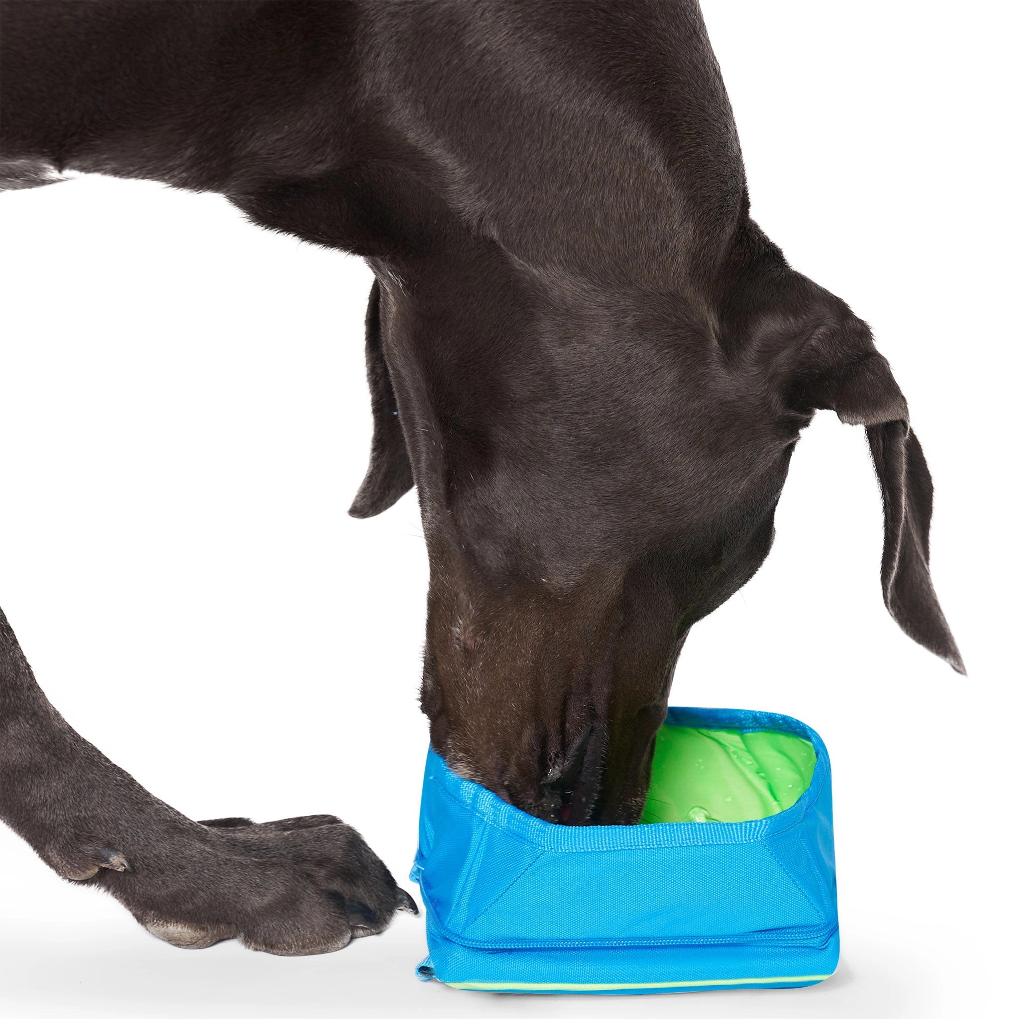 Canada Pooch Chill Seeker Bowl Blue Dog Bowls