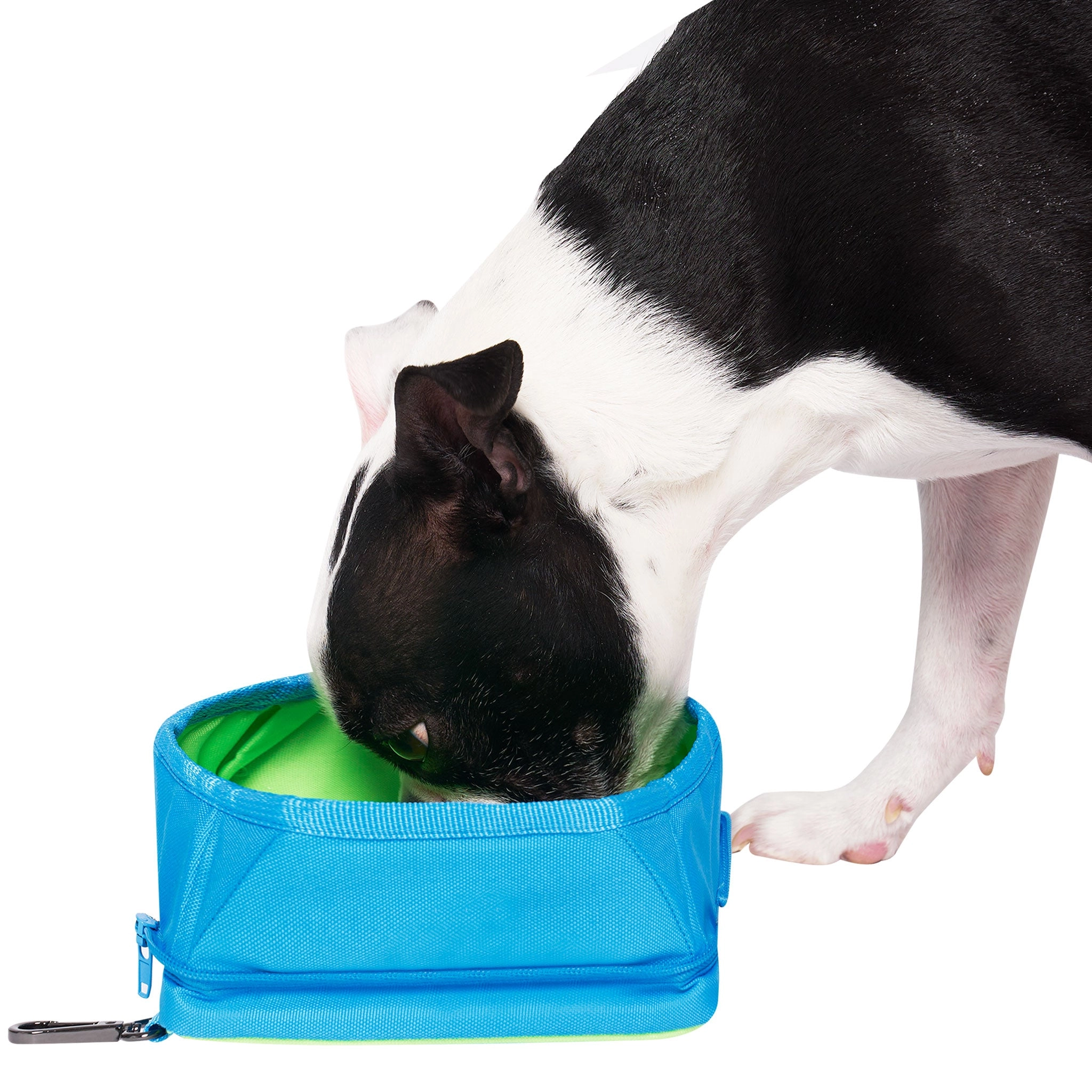 Canada Pooch Chill Seeker Bowl Blue Dog Bowls