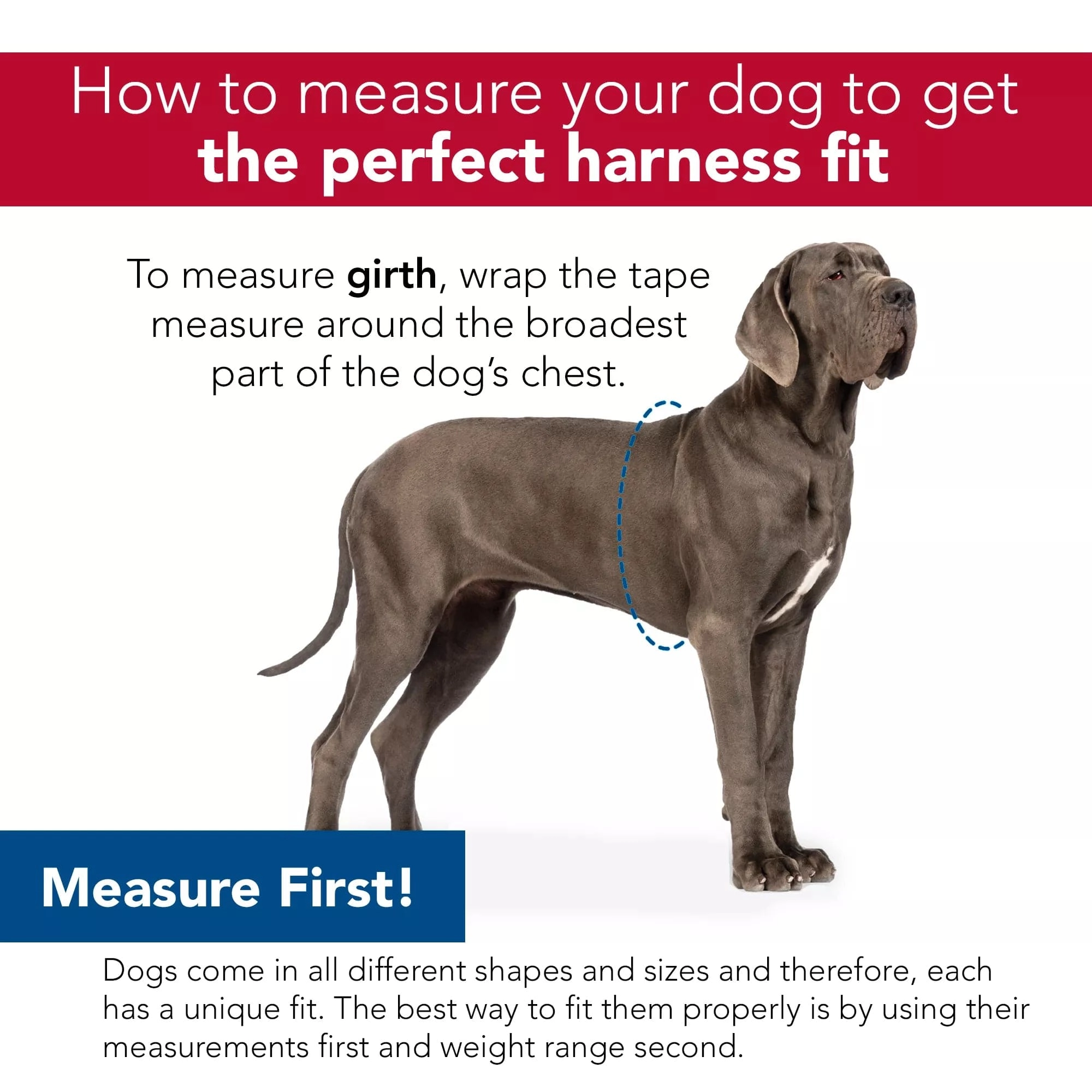 Coastal Pet Products Red Comfort Soft Sport Wrap Adjustable Dog Harness