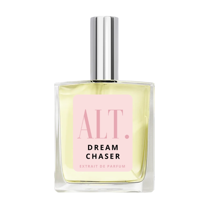 Dream Chaser