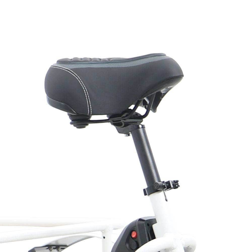 Eunorau NEW-TRIKE Electric Tricycle [48V & 40 mile range]