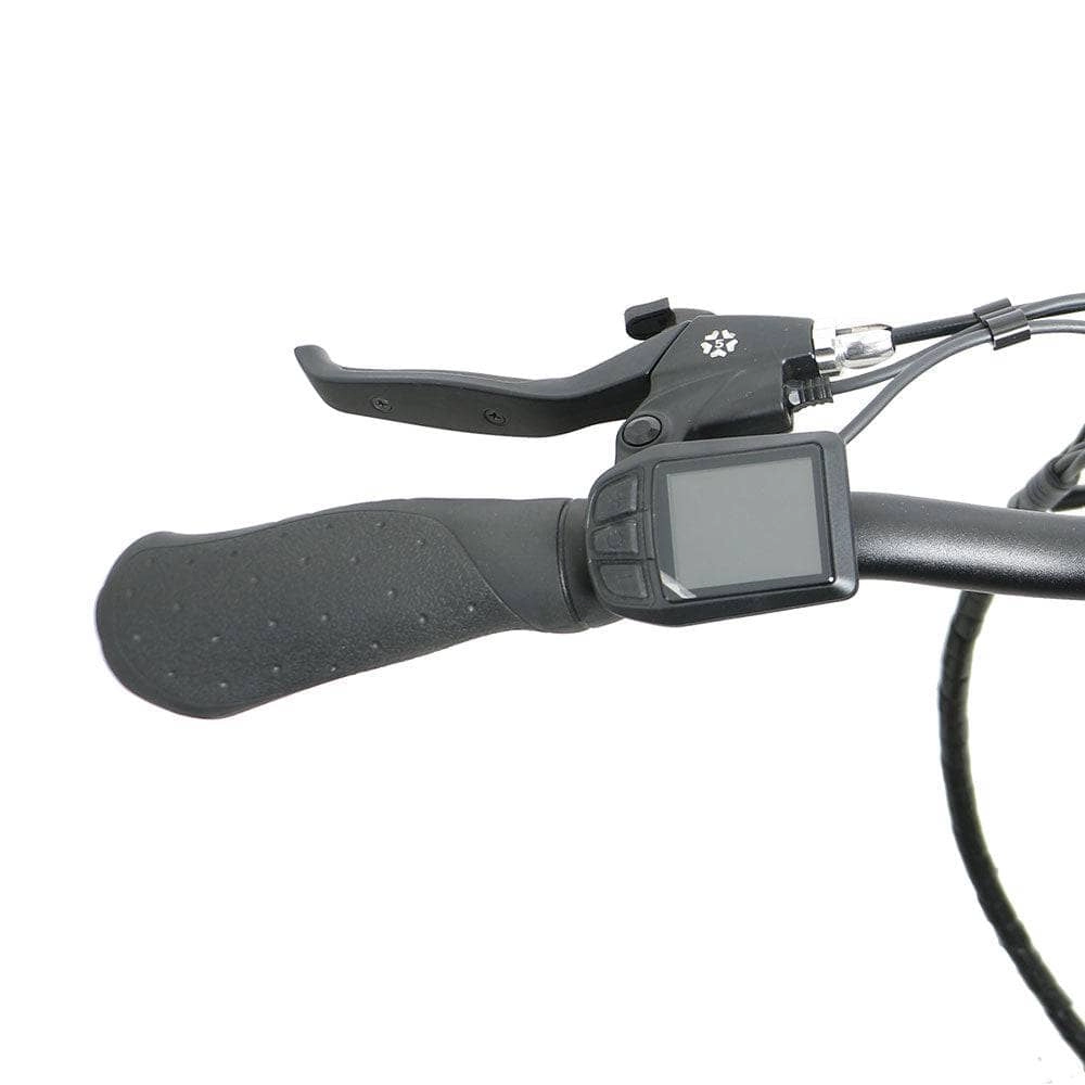 Eunorau NEW-TRIKE Electric Tricycle [48V & 40 mile range]