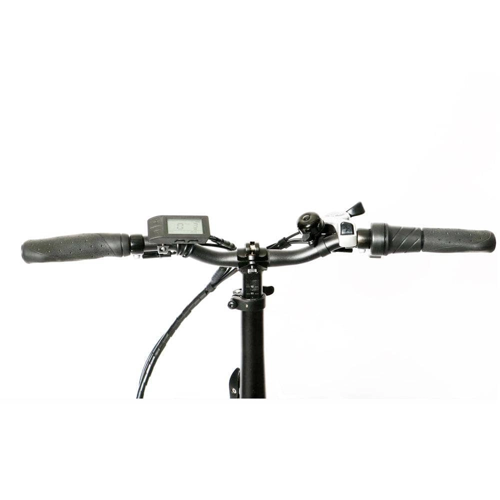 Eunorau NEW-TRIKE Electric Tricycle [48V & 40 mile range]