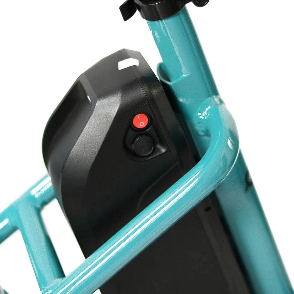 Eunorau NEW-TRIKE Electric Tricycle [48V & 40 mile range]