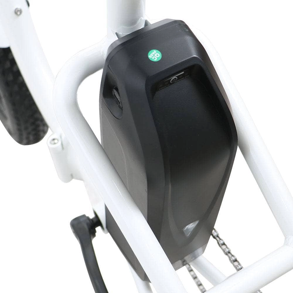 Eunorau NEW-TRIKE Electric Tricycle [48V & 40 mile range]