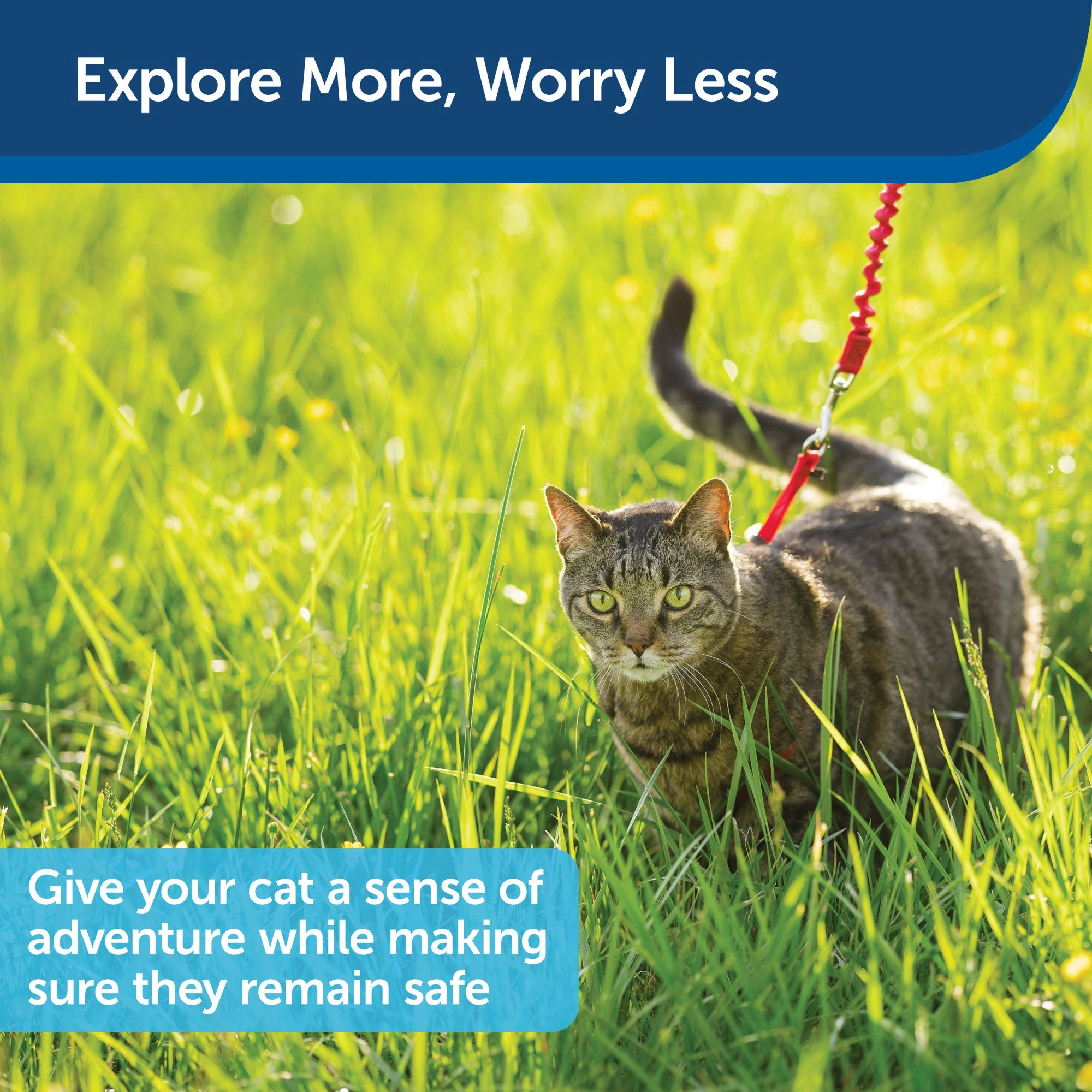 PetSafe Come with Me Kitty Harness and Bungee Leash – Adjustable, Lightweight Harness for Cats, Red