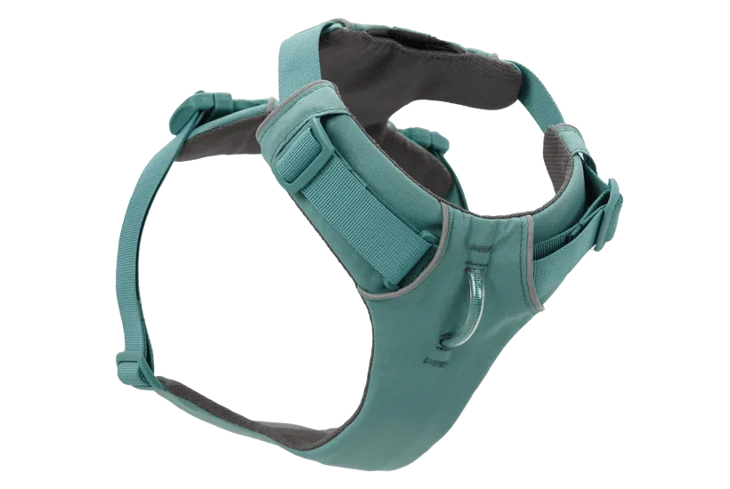 Ruffwear Front Range Dog Harness in River Rock Green