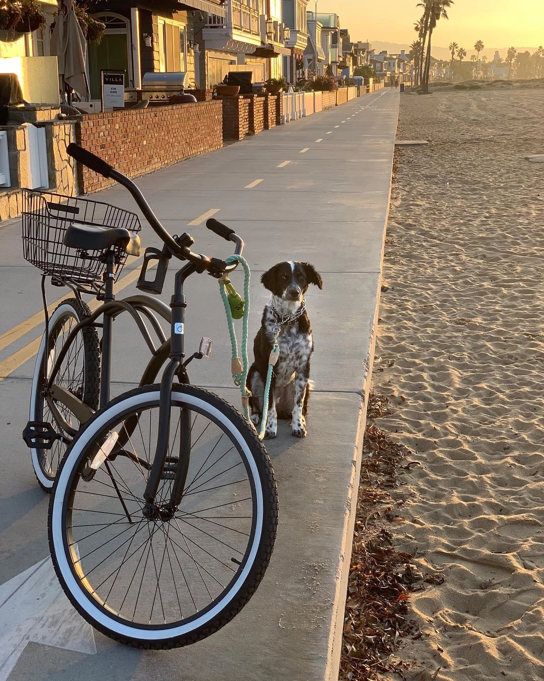 sixthreezero Around the Block Men's 24" Single Speed Beach Cruiser Bicycle with Rear Rack