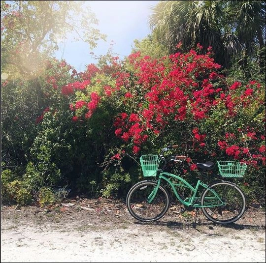 sixthreezero Around the Block Women's 26" 3 Speed Cruiser Bicycle