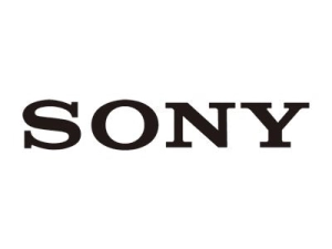 Sony BRC-WMALL - Camera dome mounting bracket - wall mountable - for Sony BRC-H800, BRC-H800/1, BRC-H800/WPW, BRC-SDP16, BRC-X1000, BRCWMALLK
